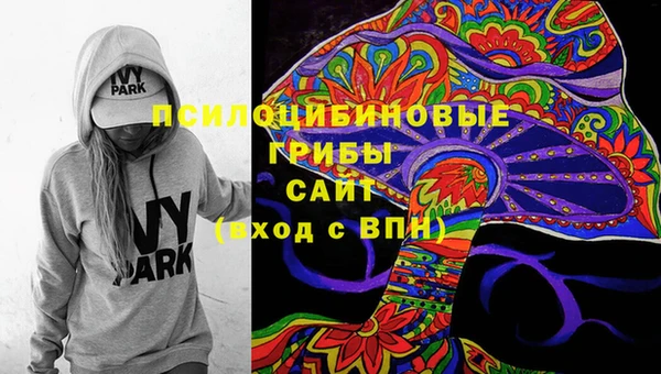 гидропоника Абаза