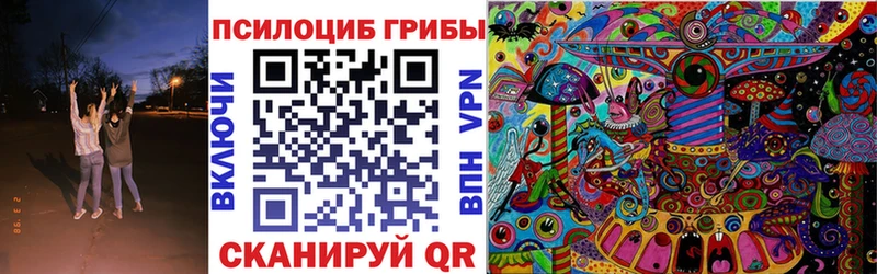 Галлюциногенные грибы Psilocybine cubensis  Приморско-Ахтарск 